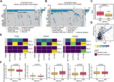 Machine learning-based screening of an epithelial-mesenchymal transition-related long non-coding RNA signature reveals lower-grade glioma prognosis and the tumor microenvironment and predicts antitumor therapy response